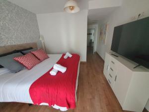 瓜达莱斯特EL ÚNICO apartment with jacuzzi and art的一间卧室配有一张带红色毯子的床和一台平面电视。
