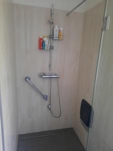 格拉茨Quiet Room with shared kitchen bathroom的带淋浴的浴室
