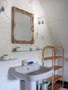 RochlitzApartment in Villa Rochlitz的浴室设有水槽和墙上的镜子
