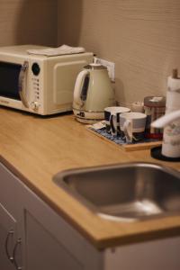 塔尔西Apartaments Nr. 33 ( Viesu Nr. 4)的厨房柜台设有水槽和微波炉