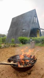 LindulaThe ZenDen-Cozy Cabin Perfect For Couples的房屋前的烤炉