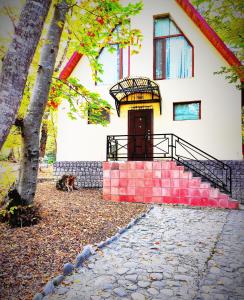 库萨雷Qusar Olimpik Hotel and Cottages的前面有红砖楼梯的房子