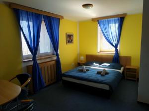 Lomnice nad PopelkouHotel Vyhlídka的一间卧室配有一张床和两个蓝色窗帘的窗户