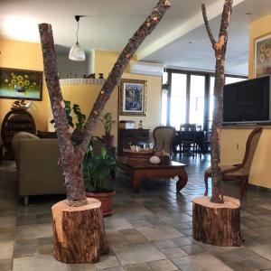 佩斯卡拉天堂乡间别墅酒店的客厅中间的两棵树干