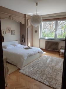 斯特拉斯堡La Tour de l'Ill的卧室配有一张白色大床和地毯。