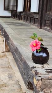 MiryangHanok Soeun House的花瓶,花朵在上面,坐在树 ⁇ 上