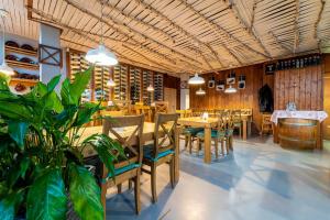 塔查斯卡-鲁穆尼卡Bel Hostel的一间设有木桌和椅子的餐厅,以及一间种植了植物的餐厅