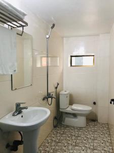 宁平Tam Coc Sunset Homestay的一间带水槽、卫生间和镜子的浴室