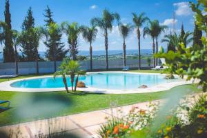 锡拉库扎Casale Santuzza - Xenia Sicily Villas的一座棕榈树环绕的游泳池