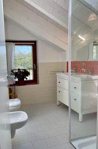 RovagnateCascina Bagaggera的一间带水槽和卫生间的浴室以及窗户。