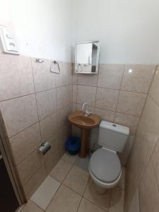 皮雷诺波利斯Pousada Torre dos Mouros的一间带卫生间和水槽的小浴室