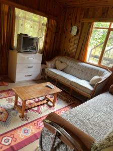 凯麦尔Oran Ağaç Bungalovs的带沙发和电视的客厅