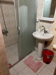 凯麦尔Oran Ağaç Bungalovs的一间带水槽和淋浴的小浴室