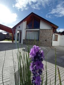 埃斯克尔La Casita的前面有紫色花的房屋