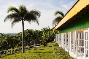 Port Maria加林娜微风酒店的棕榈树,旁边是一座带围栏的建筑