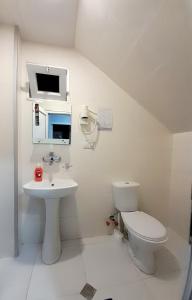 乌雷基Dream House Ureki的一间带卫生间和水槽的浴室