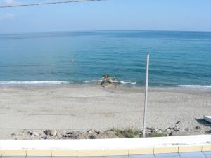 San SabaAppartamenti Sole Mare - Affitto minimo settimanale - Weekly minimum rent的海滩上的狗在水中