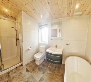 巴洛赫MAC Skyline Lodges的浴室配有卫生间水槽和淋浴。