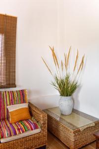 库克里亚Galatia's House的柳条椅和桌子与盆栽