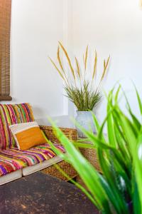 库克里亚Galatia's House的带沙发和盆栽植物的客厅