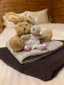 Dobri DyalВили Янкови的两只塞满食物的兔子坐在床上的毯子上