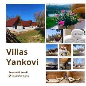 Dobri DyalВили Янкови的画卷,画有房子和花