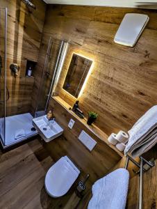 卡塞尔市政厅酒店的享有带卫生间和水槽的浴室的顶部景致。