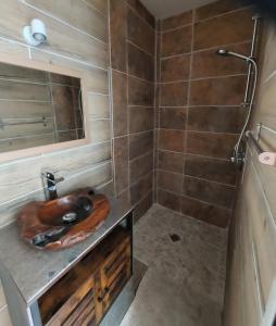 卡西斯Rêves de vie Studio avec terrasse le Figuerolles的一间带水槽和淋浴的浴室