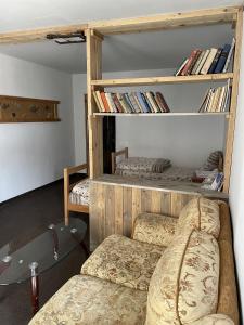 ArtanishArmenian Camp的一间配有沙发和书架的房间
