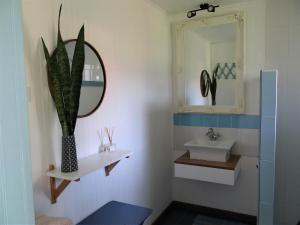 安加罗阿Hotel Boutique La Perouse的浴室设有水槽、镜子和植物