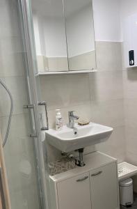 德累斯顿Tiny-Ferienwohnungen Hellerau的白色的浴室设有水槽和淋浴。