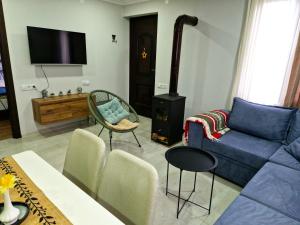 NikortsmindaCottage in Racha Mero的客厅配有蓝色的沙发和炉灶。