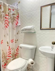 戴维Residencial Lassonde Guest House的白色的浴室设有卫生间和水槽。
