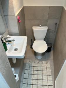 布拉格Cozy apartment close to Palmovka的一间带卫生间和水槽的小浴室