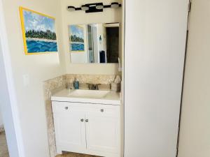 Moss TownBeautiful Island Villa - Beach Access on Private 2 Acres的浴室设有白色水槽和镜子