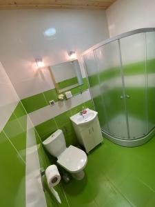 弗瓦迪斯瓦沃沃Domki letniskowe Na Stoku的绿色和白色的浴室设有卫生间和水槽