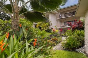 科纳Hale Hāhālua - Hale Hahalua - Serenity and Ocean Views in Kona now with AC的植物群前的花园