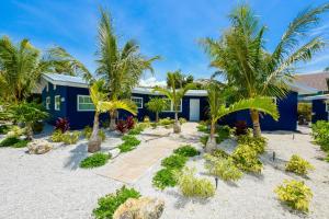 西耶斯塔岛Aruba的一座棕榈树的蓝色房子