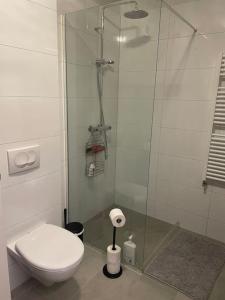 NjarðvíkBeautiful apartment near Airport的一间带卫生间和玻璃淋浴间的浴室