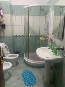 费里Guest House Fier的带淋浴、盥洗盆和卫生间的浴室