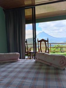 福尔图纳Encanto Arenal lodge的山景卧室 - 带1张床