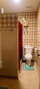 科罗尔Paradise Comfort的一间带卫生间和淋浴的小浴室