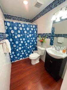 科罗尔Ngermid Oasis- 1BD, Beautiful Lodge, Amazing Views的一间带卫生间和水槽的浴室