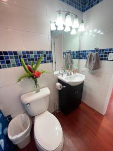科罗尔Ngermid Oasis- 1BD, Beautiful Lodge, Amazing Views的一间带卫生间、水槽和镜子的浴室