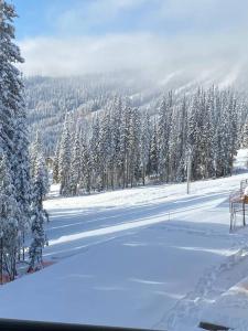 太阳峰Cozy Modern Ski-in/Ski-out, Hot Tub, Alpine Home的一条雪地道路,有雪覆盖的树木和山
