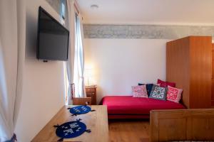 克拉尼斯卡戈拉Pr'Gavedarjo Eco Heritage B&B的小房间设有红色的床和电视