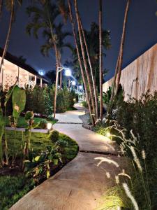 拜县23 PAI HOUSE boutique hotel的一条棕榈树和灯光的夜间步道