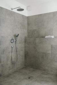 特里滕海姆Moselhaus by Clüsserath-Wittmann的浴室内配有淋浴和头顶淋浴