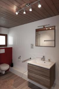 米明Hotel Neuwirt的一间带水槽、卫生间和镜子的浴室