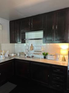 巴里奥Zara Lodge的厨房配有深色木质橱柜和微波炉。